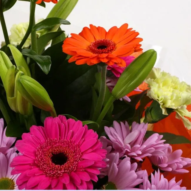 Colour Burst Bouquet