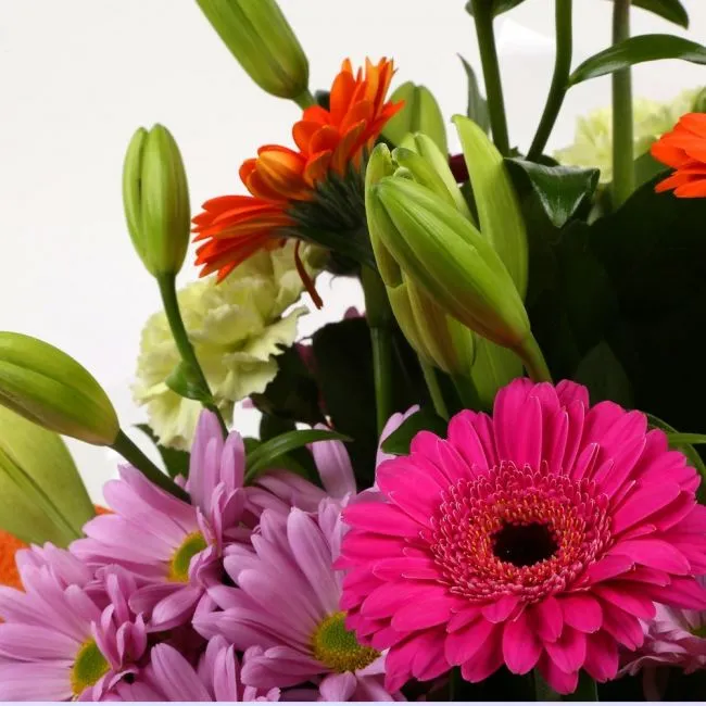 Colour Burst Bouquet