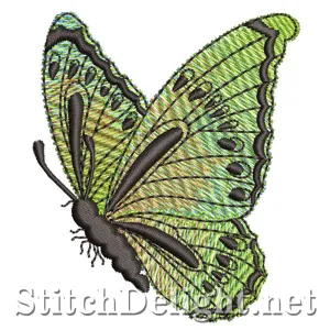 SDS0073 Butterfly